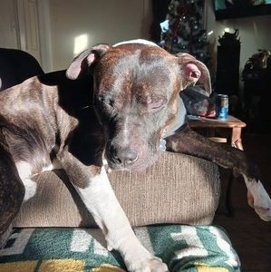 Meet your Posher, Shataka